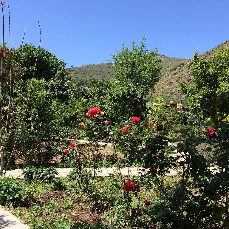 Kapri Hotel Selimiye